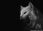 In the darkness..