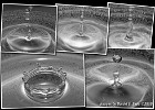 Water drop collage (Round 1, HSS flash) (Home Studio (Göteborg), Sweden 2010)